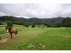 310 Crossmaglen Rd, Bonville NSW 2441