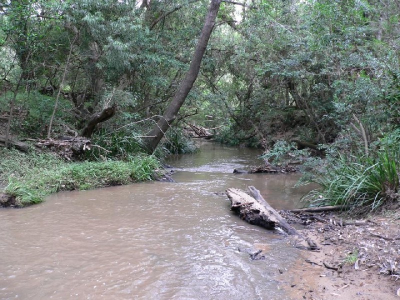 Lot 38 Upper Fineflower Road, Fine Flower NSW 2460