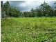 Lot 38 Upper Fineflower Road, Fine Flower NSW 2460