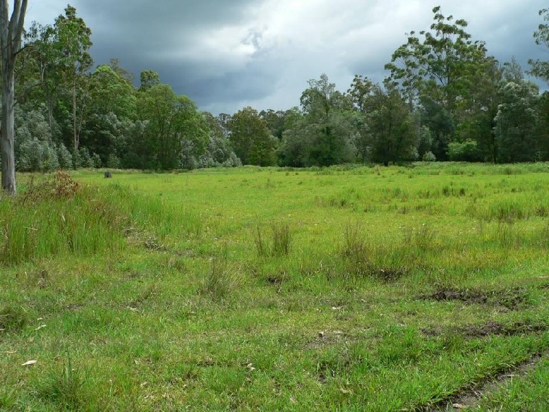 Lot 38 Upper Fineflower Road, Fine Flower NSW 2460