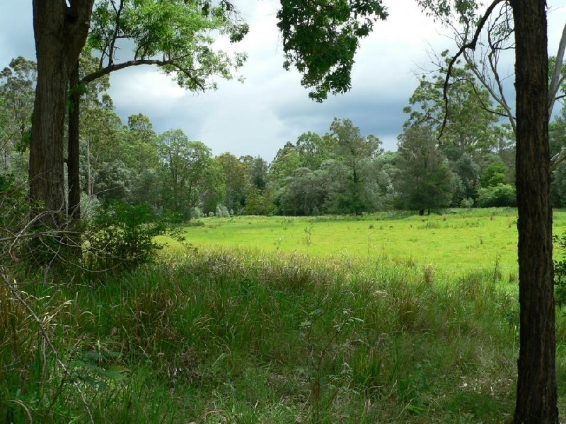 Lot 38 Upper Fineflower Road, Fine Flower NSW 2460
