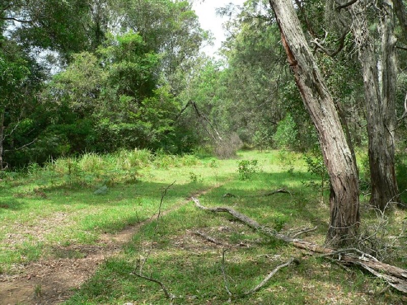 Lot 38 Upper Fineflower Road, Fine Flower NSW 2460