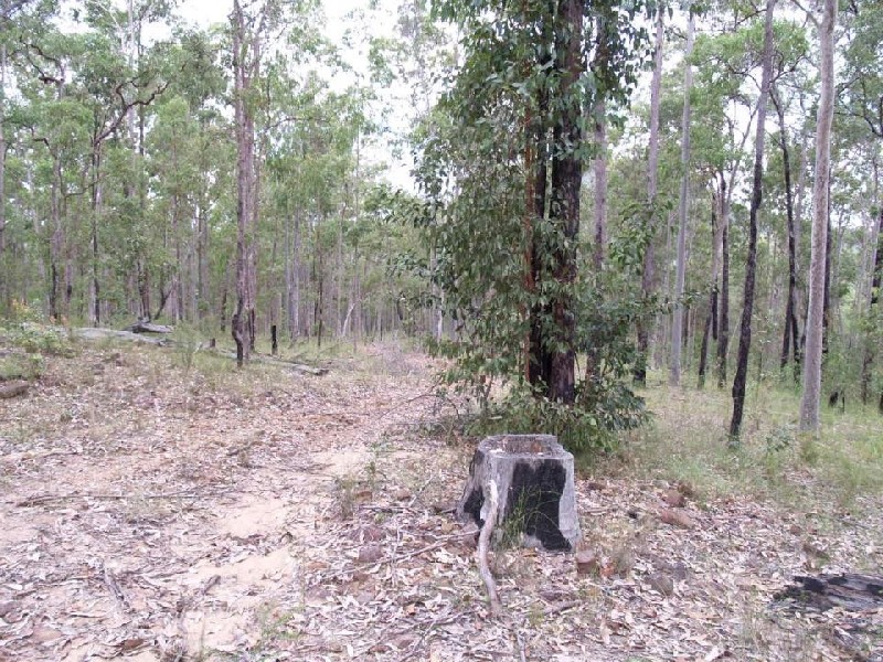 Lot 38 Upper Fineflower Road, Fine Flower NSW 2460