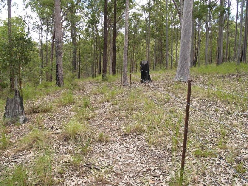 Lot 38 Upper Fineflower Road, Fine Flower NSW 2460