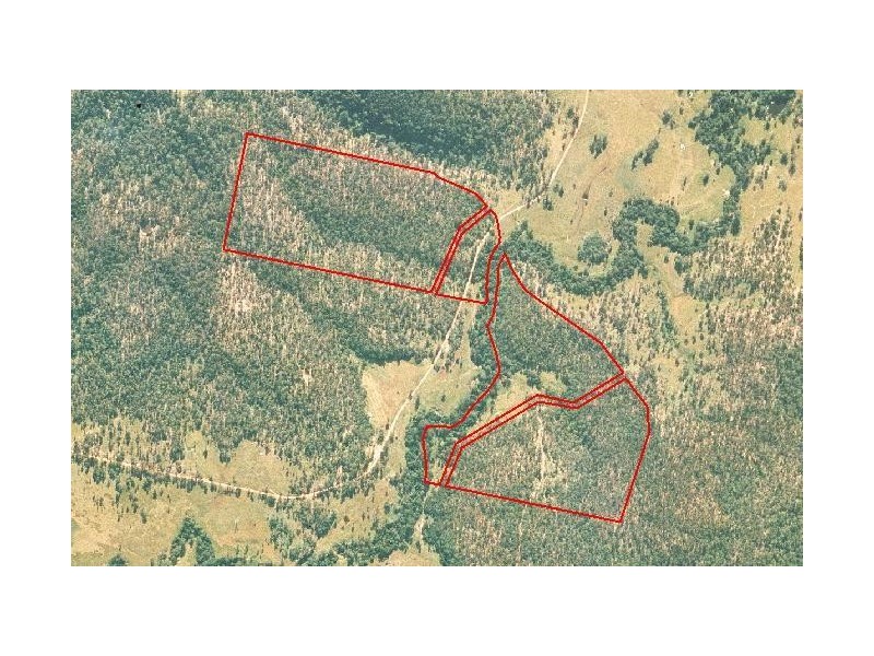 Lot 38 Upper Fineflower Road, Fine Flower NSW 2460