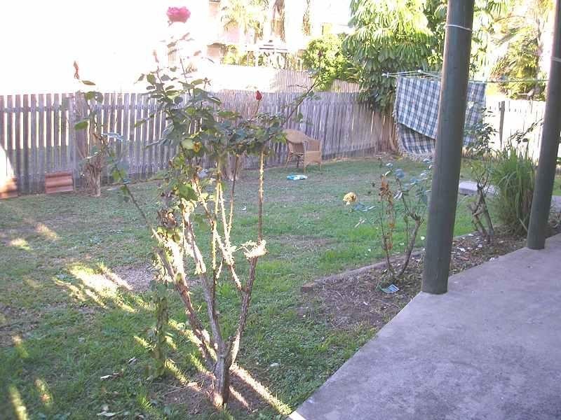 3/106 Villiers Street, Grafton NSW 2460