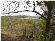 328 Baillies Road, Copmanhurst NSW 2460