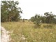 328 Baillies Road, Copmanhurst NSW 2460