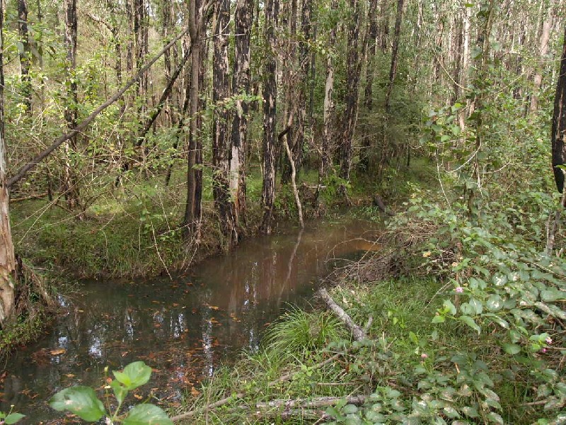 (Lot 1) 2962 Pacific Highway, Tyndale NSW 2460