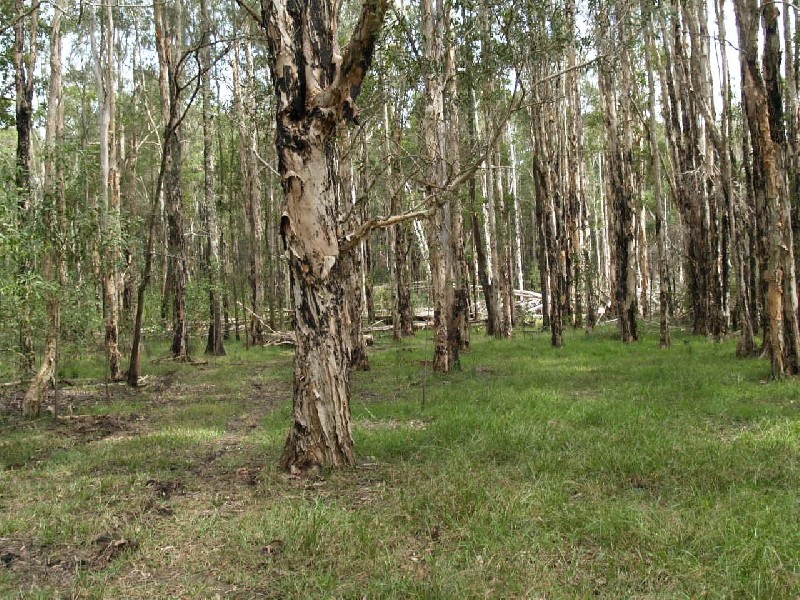 (Lot 2) 2962 Pacific Highway, Tyndale NSW 2460