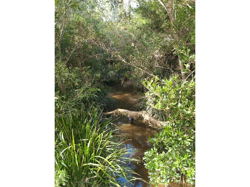 582 Dinjerra Road, South Grafton NSW 2460