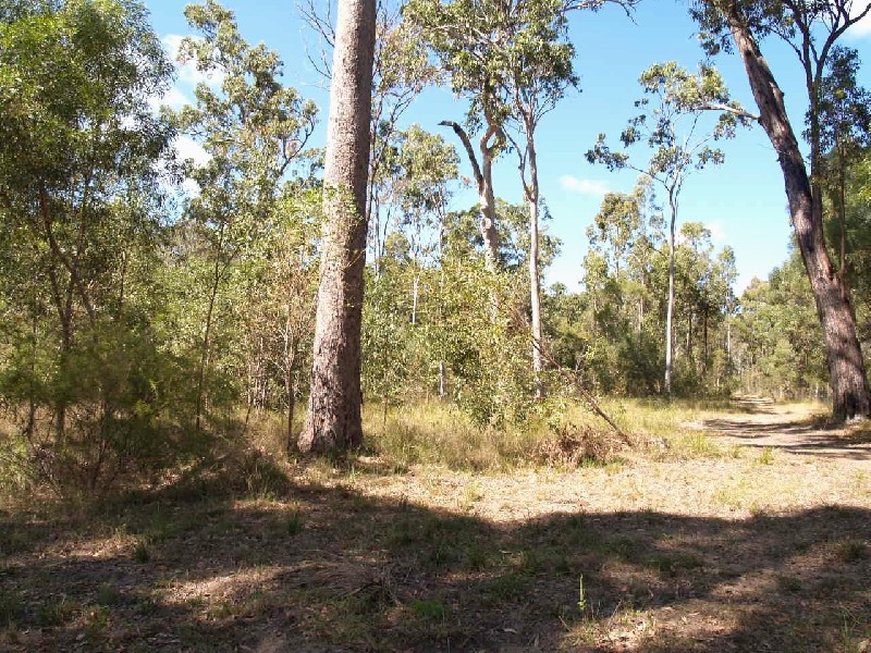 582 Dinjerra Road, South Grafton NSW 2460