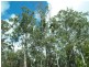 Lot 1021 The Siding, Halfway Creek NSW 2460