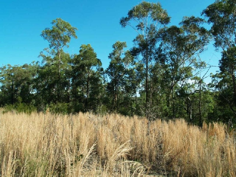 Lot 18 Stockyard Creek Road, Coaldale NSW 2460