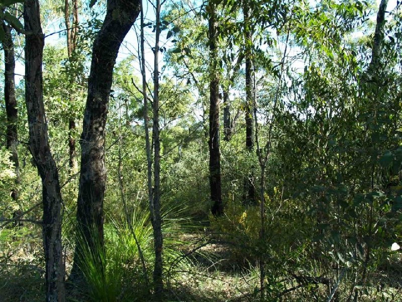 Lot 18 Stockyard Creek Road, Coaldale NSW 2460