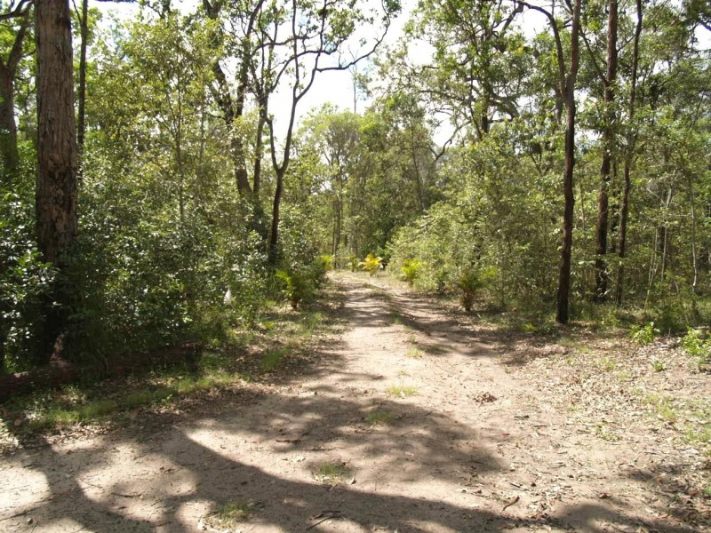 265 Baillies Road, Copmanhurst NSW 2460