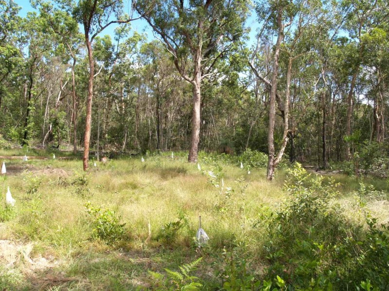 265 Baillies Road, Copmanhurst NSW 2460