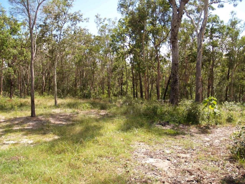 265 Baillies Road, Copmanhurst NSW 2460