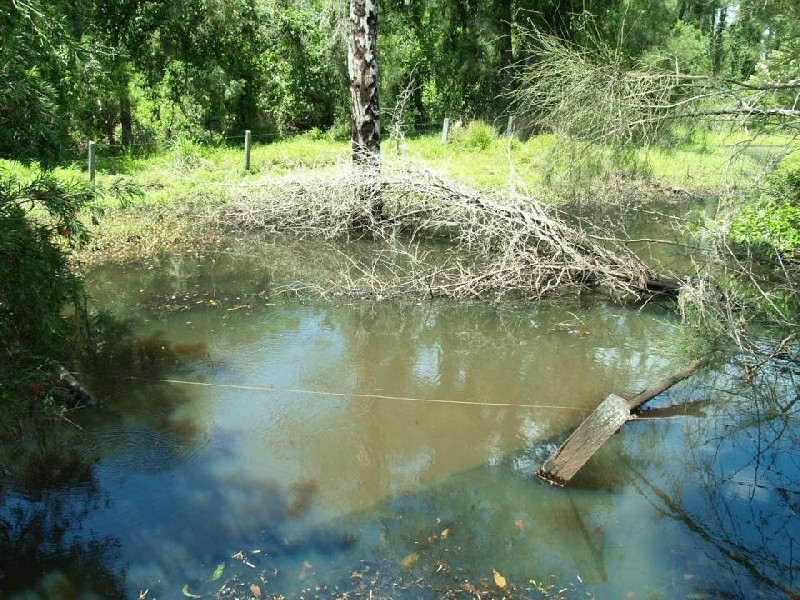 14 Brynvale Lane, Coutts Crossing NSW 2460