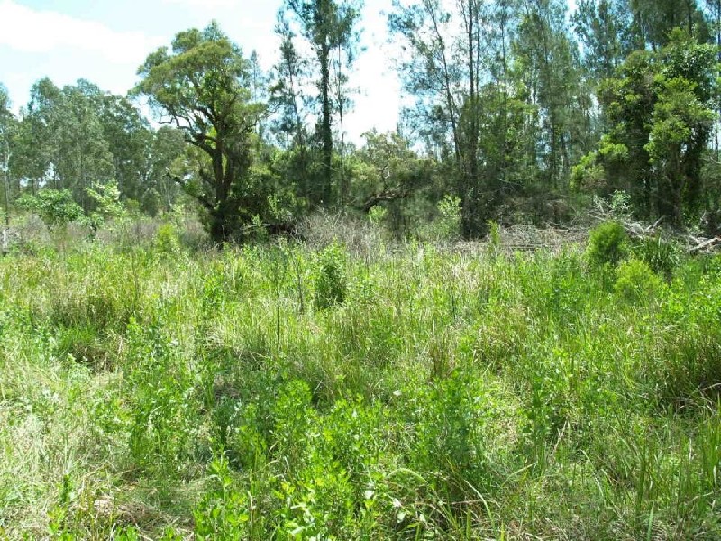 14 Brynvale Lane, Coutts Crossing NSW 2460