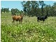 20 Keiro Road, South Grafton NSW 2460