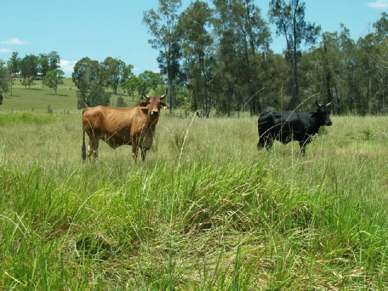 20 Keiro Road, South Grafton NSW 2460