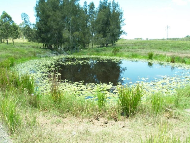 20 Keiro Road, South Grafton NSW 2460