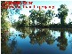 23 Bellengen Street, Tucabia NSW 2462