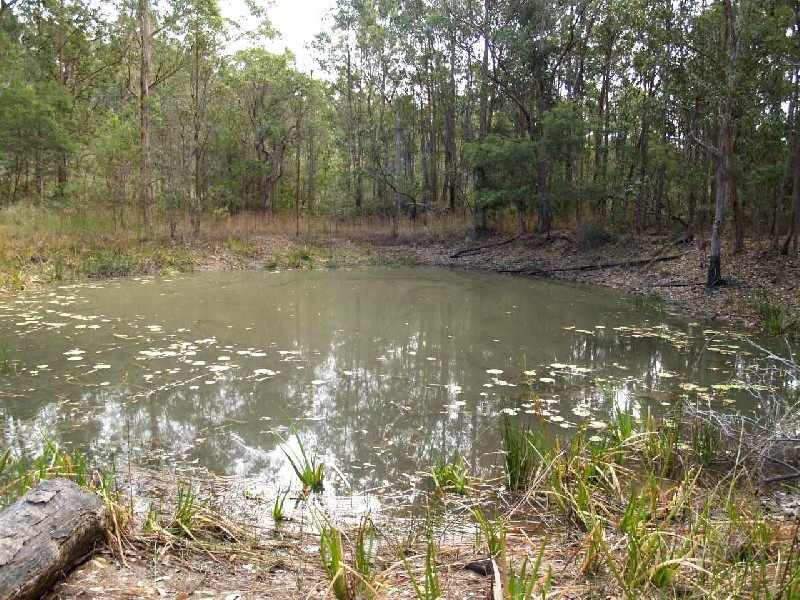 3625 Armidale Road, Nymboida NSW 2460