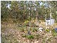 3625 Armidale Road, Nymboida NSW 2460