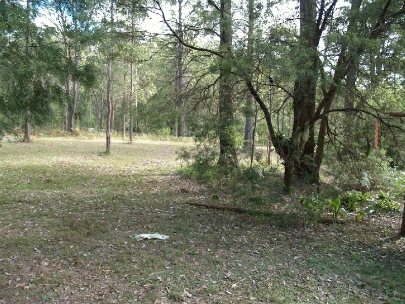 3625 Armidale Road, Nymboida NSW 2460