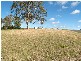 2 Daniels Close, South Grafton NSW 2460