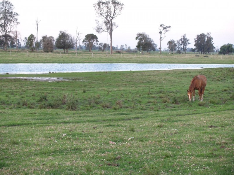 124 Finlaysons Road, Swan Creek NSW 2462