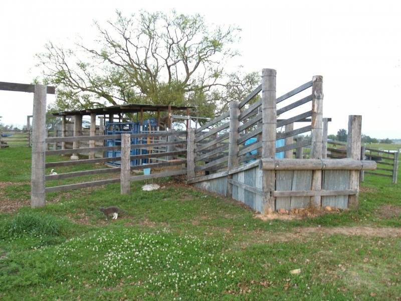 124 Finlaysons Road, Swan Creek NSW 2462