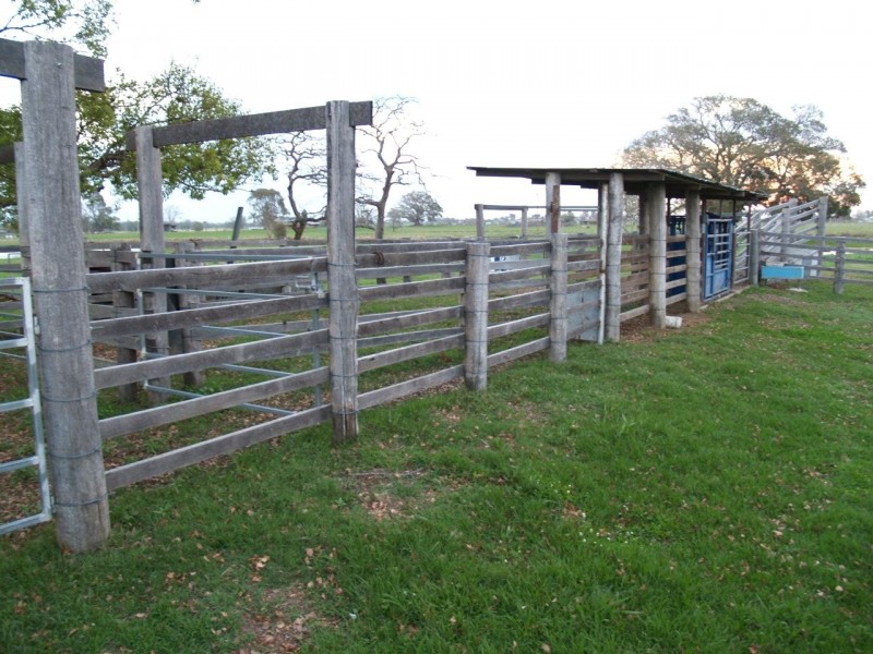 124 Finlaysons Road, Swan Creek NSW 2462