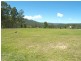 1698 Kangaroo Creek Road, Coutts Crossing NSW 2460