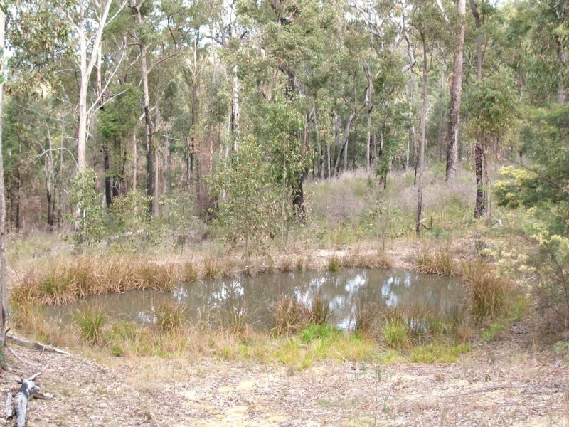 1698 Kangaroo Creek Road, Coutts Crossing NSW 2460