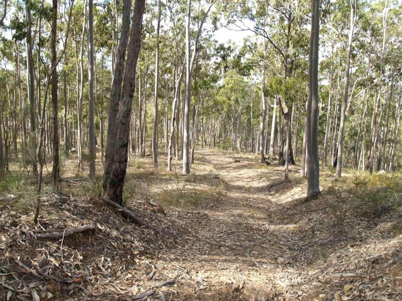 1698 Kangaroo Creek Road, Coutts Crossing NSW 2460