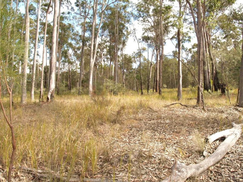 1698 Kangaroo Creek Road, Coutts Crossing NSW 2460
