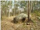 1698 Kangaroo Creek Road, Coutts Crossing NSW 2460