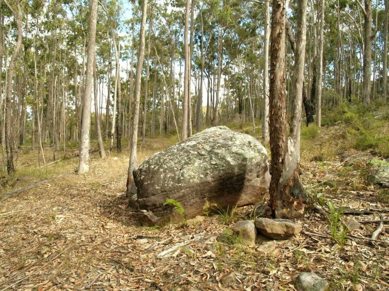 1698 Kangaroo Creek Road, Coutts Crossing NSW 2460