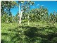 Stockyard Creek Road, Copmanhurst NSW 2460