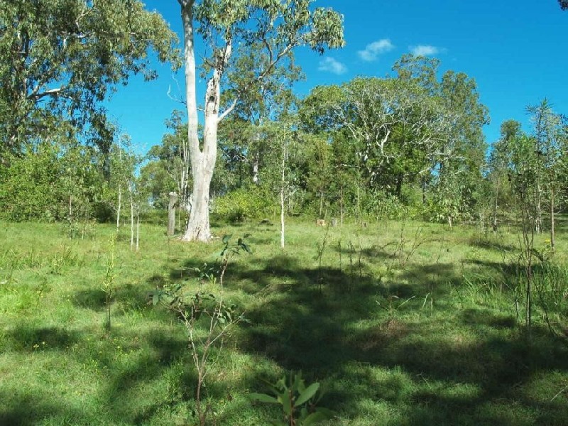 Stockyard Creek Road, Copmanhurst NSW 2460