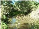 Stockyard Creek Road, Copmanhurst NSW 2460