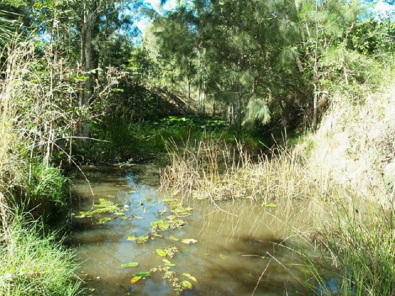Stockyard Creek Road, Copmanhurst NSW 2460