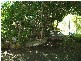 Stockyard Creek Road, Copmanhurst NSW 2460