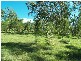 Stockyard Creek Road, Copmanhurst NSW 2460