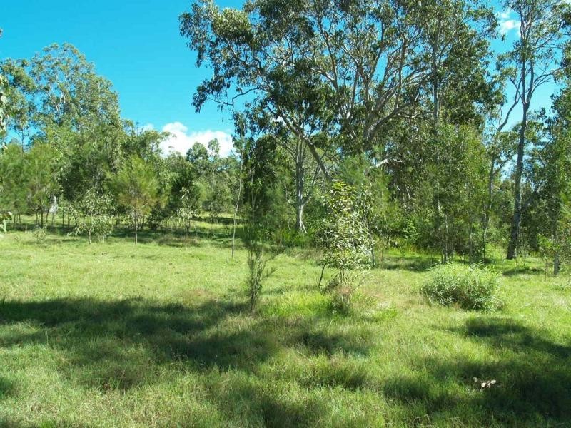 Stockyard Creek Road, Copmanhurst NSW 2460