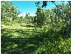 Stockyard Creek Road, Copmanhurst NSW 2460