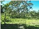 Stockyard Creek Road, Copmanhurst NSW 2460